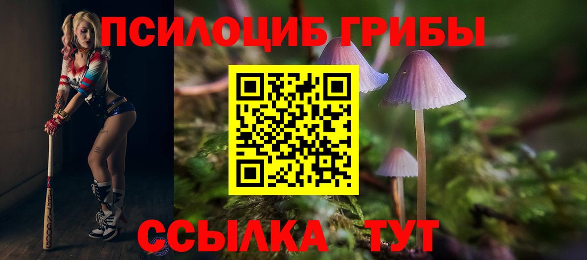 Миасс  Псилоцибиновые грибы прущие грибы  Вход с VPN 